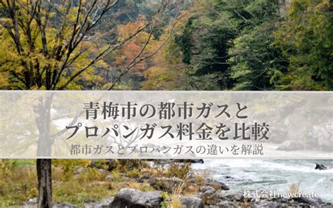 青梅市 リフォーム：都市の再生と伝統の融合