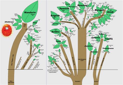 연근 영어로: The Mystical Roots of Language and Culture