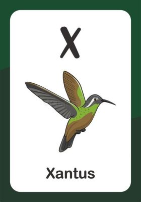  Xantus-Sänger! Ein Vogel mit einem Gesang, der die Stille des Meeres durchbricht und gleichzeitig den Zauber der Wüste verkörpert