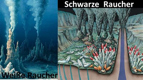   Xenophiops - Eine Reise zu den Tiefsee-Wurmlöchern der Erde!